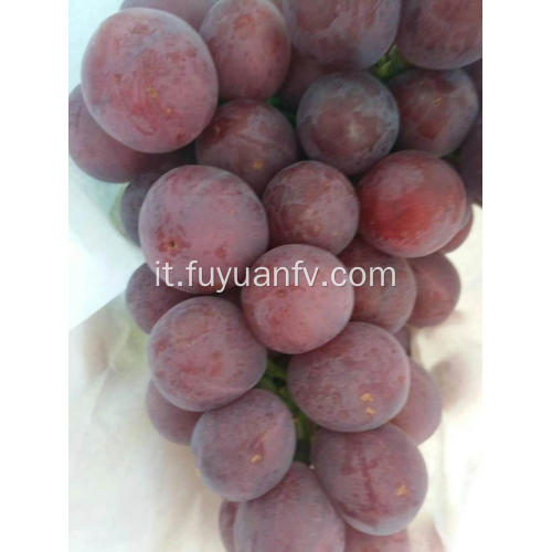yunnan uve rosse fresche